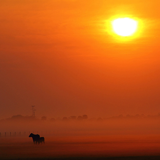 Civil engineering, planning, and land surveying services